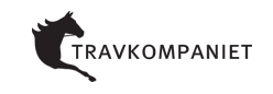 tk-logotype-transparent